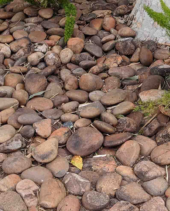 Baja Sunburst Beach Cobble 6" - 9"