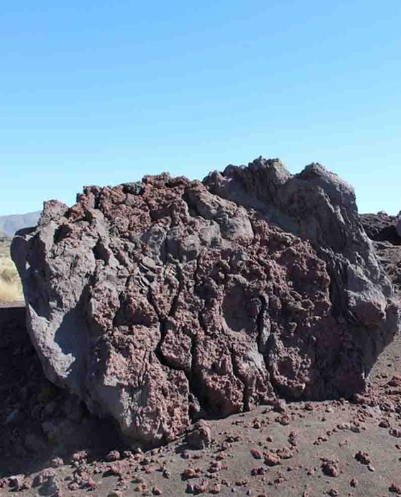 Black n Burgundy Lava Boulders 30" - 36"