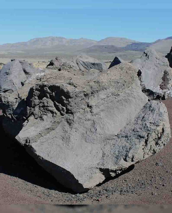 Black n Burgundy Lava Boulders 36" - 48"