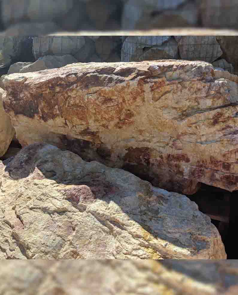 Palm Springs Gold Boulders