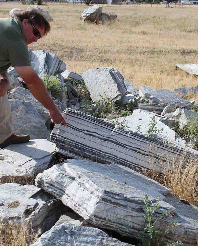 Zebra Quartzite Boulders