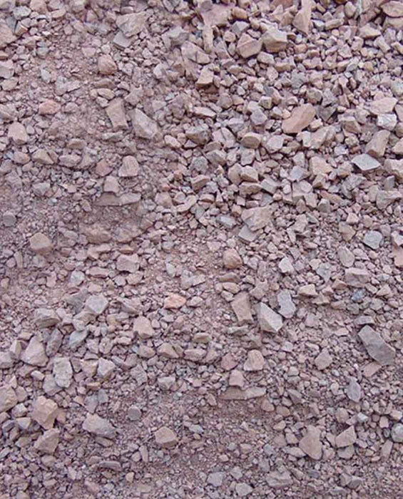 Baja Brown D. G.