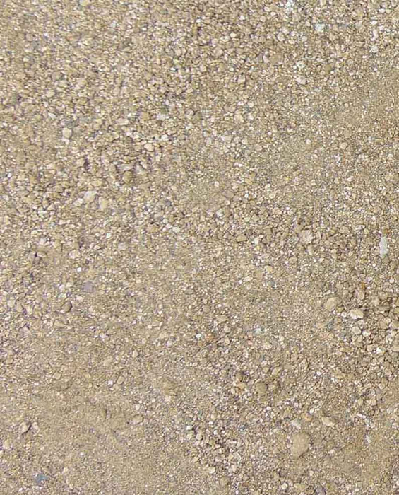 Desert Gold D. G.