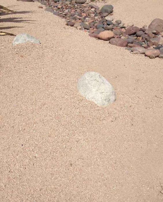 Desert Rose D. G.