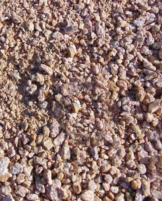 Pink Coral D. G.